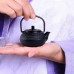 Japanese Style Cast Iron Kettle Teapot Comes + Strainer Tea Pot